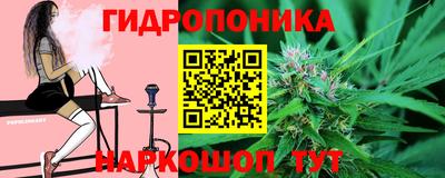 трава Будённовск