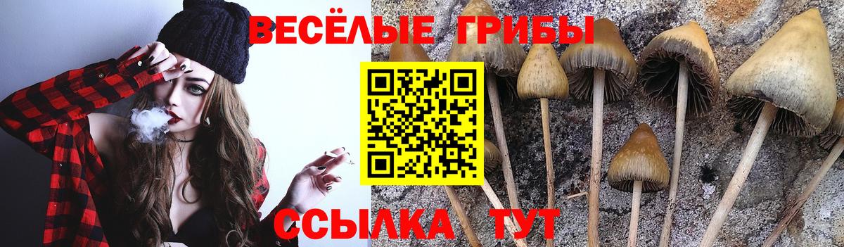 Геленджик  Псилоцибиновые грибы Cubensis  продажа наркотиков  Псилоцибиновые грибы мицелий  Вход с VPN 